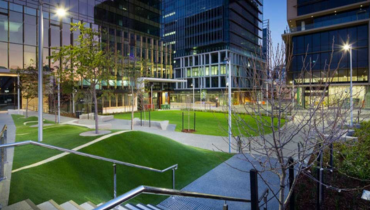 спортивное покрытие и искусственная трава